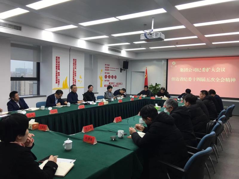 集團公司紀委召開全體（擴大）會議學習傳達中央紀委和省紀委全會精神